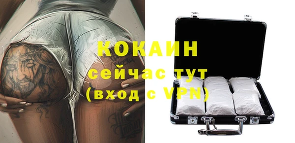 дмт Богородицк