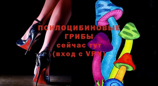 дмт Богородицк