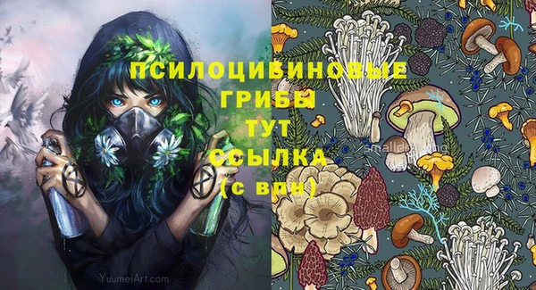 ГАЛЛЮЦИНОГЕННЫЕ ГРИБЫ Богданович