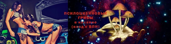 ГАЛЛЮЦИНОГЕННЫЕ ГРИБЫ Белокуриха