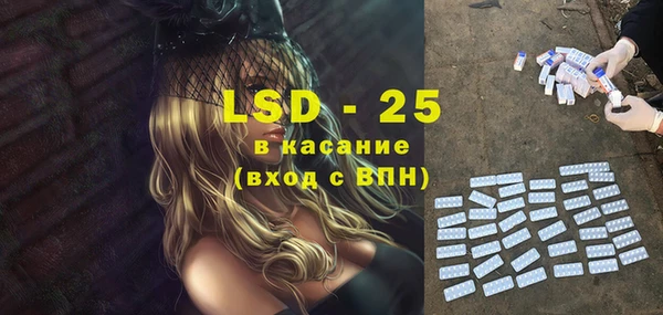 ГАЛЛЮЦИНОГЕННЫЕ ГРИБЫ Богданович