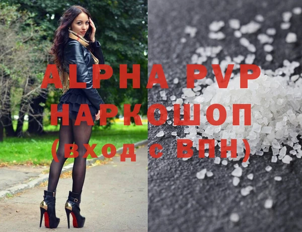 ГАЛЛЮЦИНОГЕННЫЕ ГРИБЫ Богданович