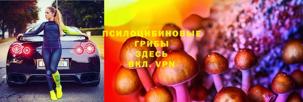 круглые Бронницы