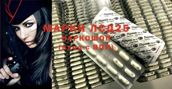 ГАЛЛЮЦИНОГЕННЫЕ ГРИБЫ Белокуриха