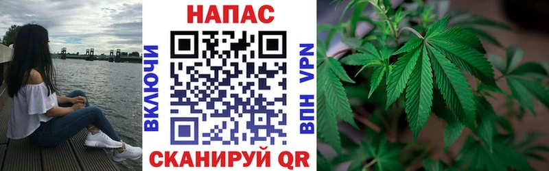 МАРИХУАНА марихуана сколько стоит Озёрск